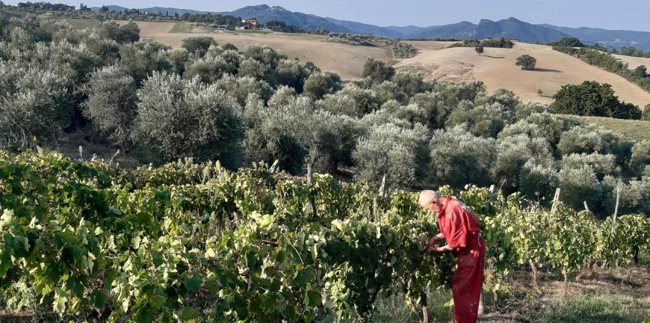Agriturismo Santa Chiara Pomarance Luaran gambar
