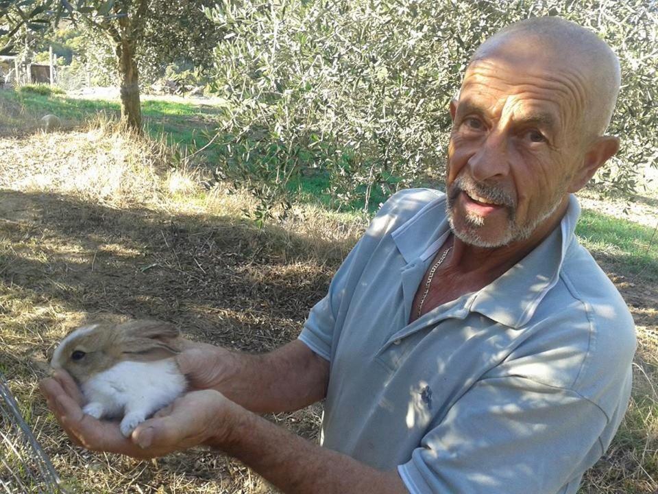 Agriturismo Santa Chiara Pomarance Luaran gambar