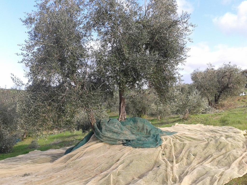 Agriturismo Santa Chiara Pomarance Luaran gambar