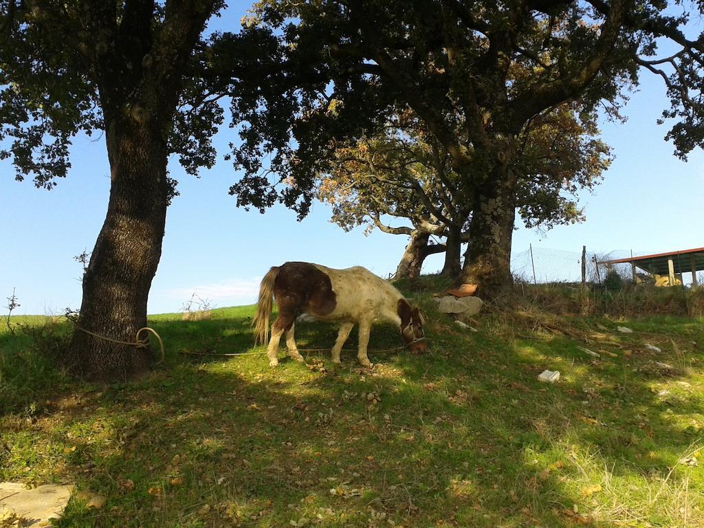Agriturismo Santa Chiara Pomarance Luaran gambar