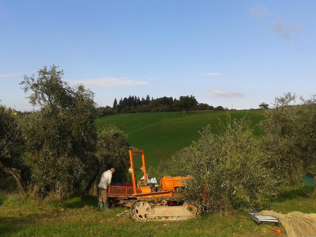 Agriturismo Santa Chiara Pomarance Luaran gambar